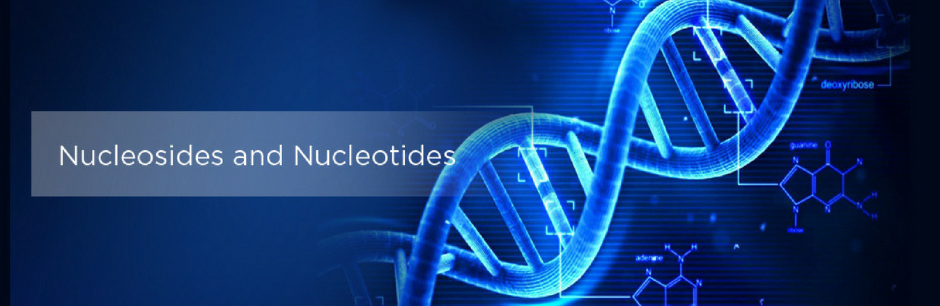 Evaluation of the Current Safety